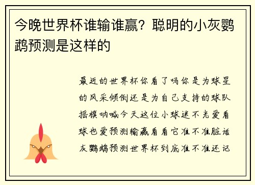 今晚世界杯谁输谁赢？聪明的小灰鹦鹉预测是这样的